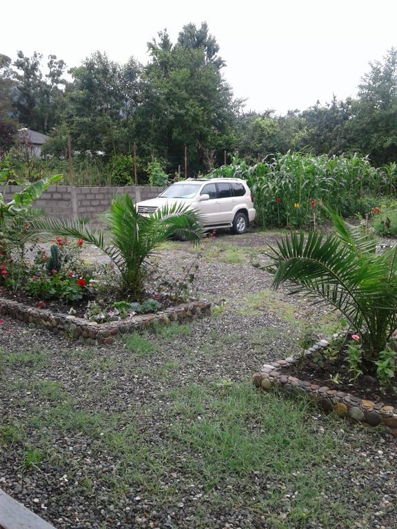 فندق Gonio Apsaros House المظهر الخارجي الصورة