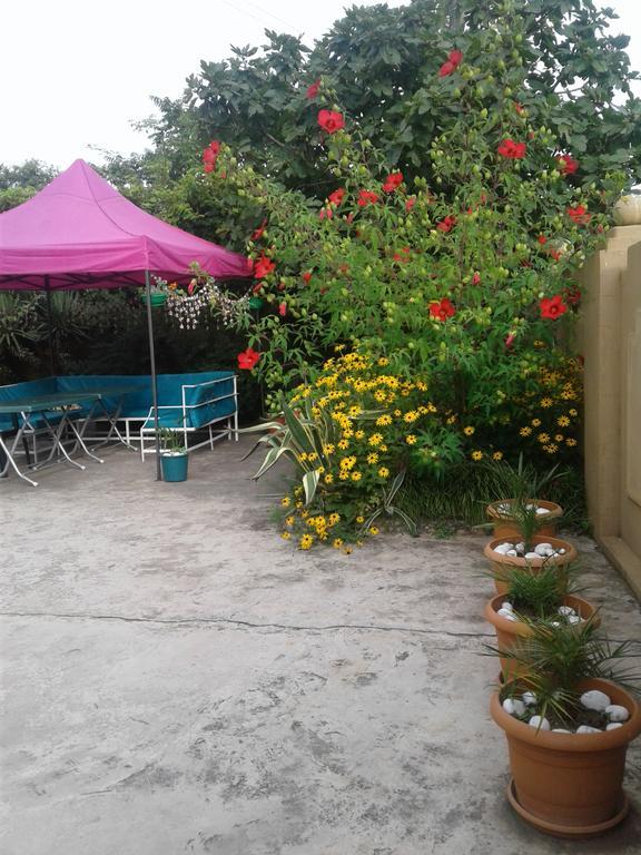 فندق Gonio Apsaros House المظهر الخارجي الصورة